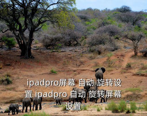 ipad自動旋轉,ipad如何關閉屏幕旋轉?