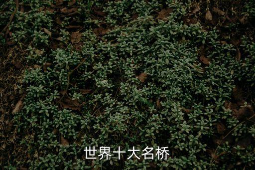 世界十大名橋