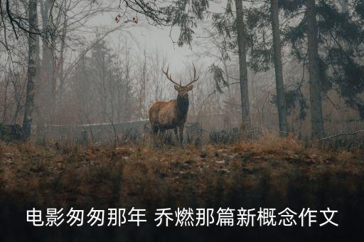 喬燃,飾演《那年匆匆》男主角喬燃獲新概念作文