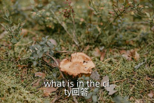 北島回答，what is in the city回答