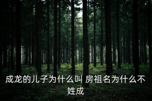 成龍的兒子為什么叫 房祖名為什么不姓成