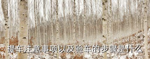 提車注意事項以及驗車的步驟是什么