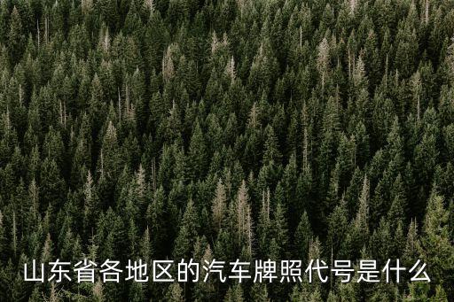山東牌照，山東省各地車牌
