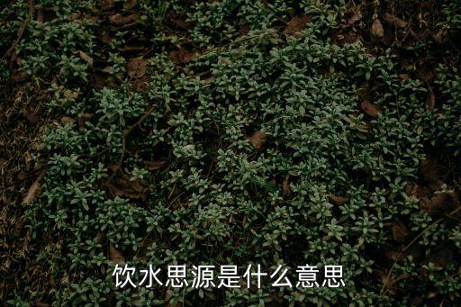 飲水思源是什么意思