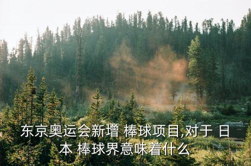 日本棒球,中國棒球隊重返奧運大家庭男女老少都瘋了