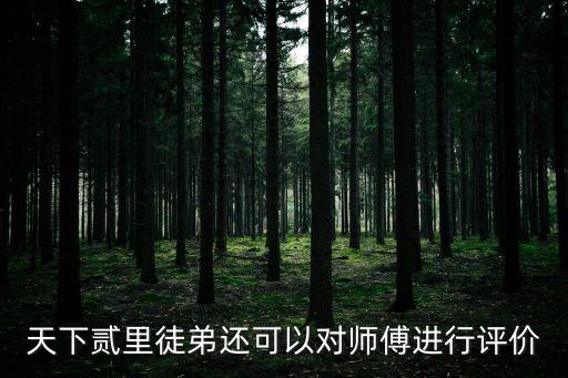 天下貳里徒弟還可以對師傅進行評價