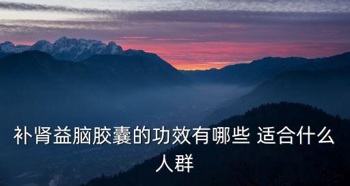 補腎益腦膠囊的功效有哪些 適合什么人群