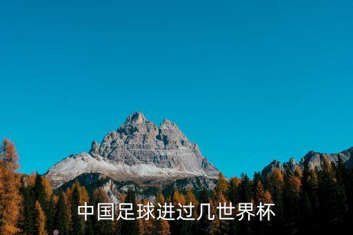 中國足球進過幾世界杯