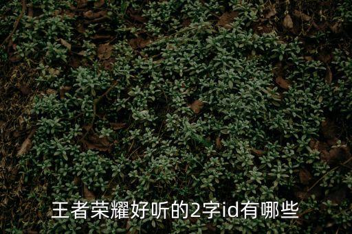 王者榮耀好聽的2字id有哪些