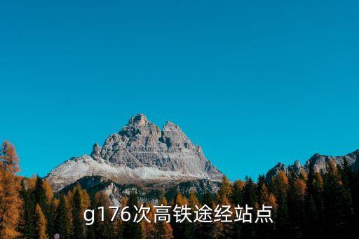 瓦屋山站,高鐵啟動(dòng)前3分鐘停止檢票乘客不要踩踏以免耽誤行程