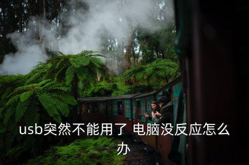 usb突然不能用了 電腦沒反應怎么辦