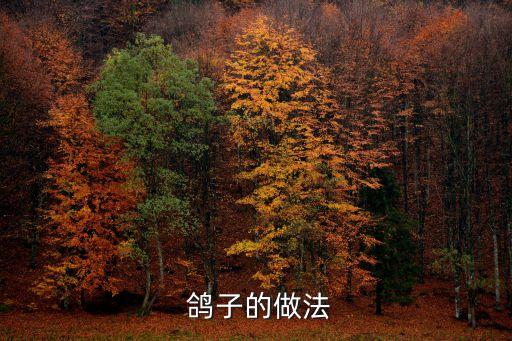 鴿子做法,鵪鶉?guó)澴訙g鶉可和白鴿一起煮食材準(zhǔn)備齊全