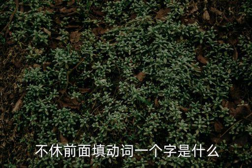  不休前面填動詞一個字是什么
