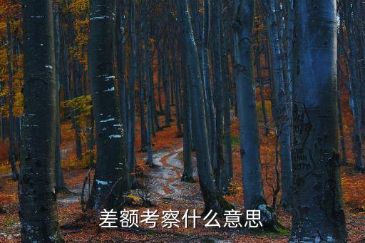 差額考察，差額考察什么意思