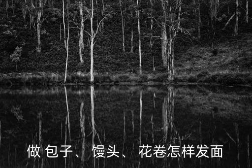 學包子饅頭花卷,面包怎么做好吃?