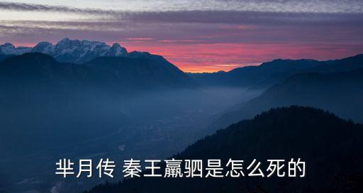 秦王嬴駟,秦惠文王嬴政的父親和兒子們