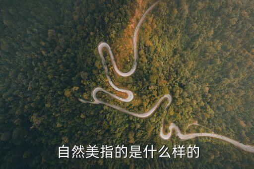 自然美,自然美的美學意義主要體現在四個方面