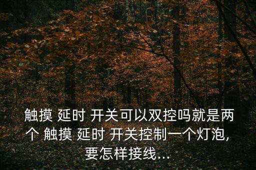  觸摸 延時 開關可以雙控嗎就是兩個 觸摸 延時 開關控制一個燈泡,要怎樣接線...