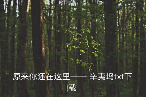原來你還在這里—— 辛夷塢txt下載