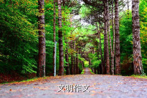 文明作文