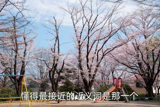 懂得最接近的近義詞是那一個