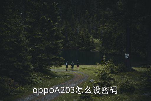oppoA203怎么設密碼
