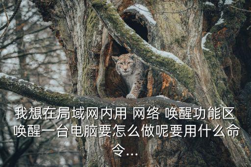 網絡喚醒,bei喚醒machine網絡地址須確保正常準確