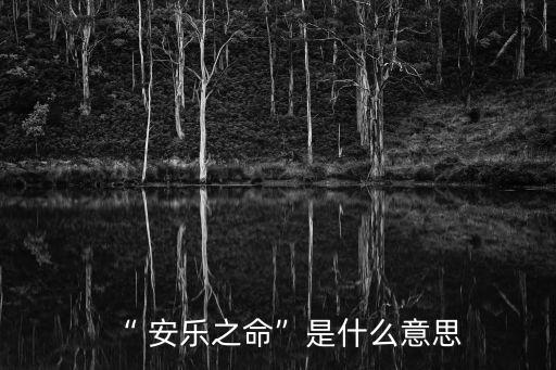 “ 安樂之命”是什么意思