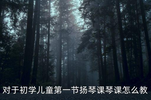 揚琴入門教程，對于初學兒童第一節揚琴課琴課怎么教