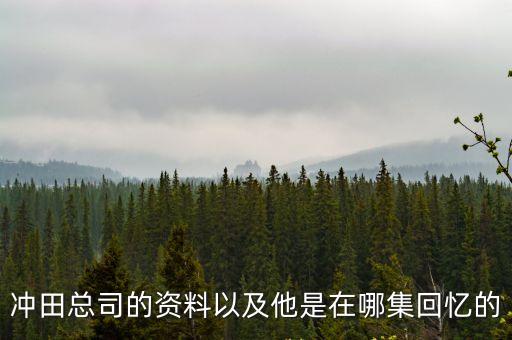 沖田總子，沖田總司的資料以及他是在哪集回憶的