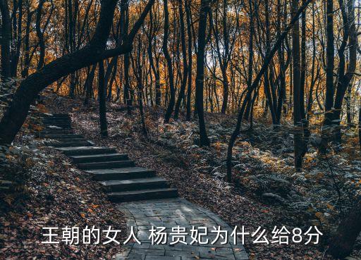  王朝的女人 楊貴妃為什么給8分