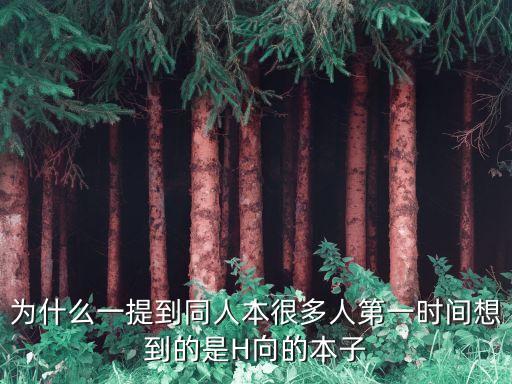 為什么一提到同人本很多人第一時(shí)間想到的是H向的本子