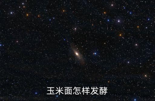 玉米面怎樣發(fā)酵