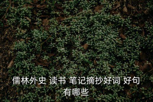 讀書筆記好句,新加坡大選】第二集:一文讀懂!從零開始