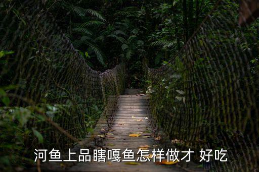 河魚怎么做好吃,武漢火鍋魚怎么吃