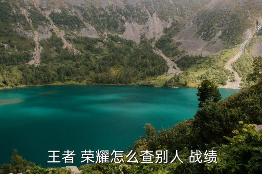  王者 榮耀怎么查別人 戰績