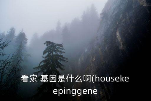 持家基因,奢侈品基因指的是高價(jià)值
