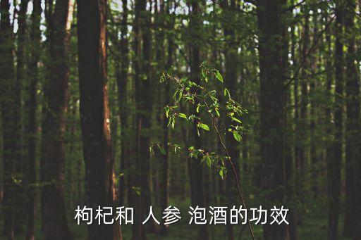人參枸杞泡酒,古楊康泡酒2.5l酒人參枸杞紅棗大棗泡酒