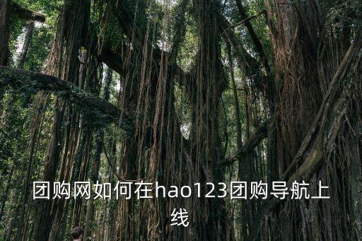 大全團800，請問一下團購大全團800在哪里下載 急盼