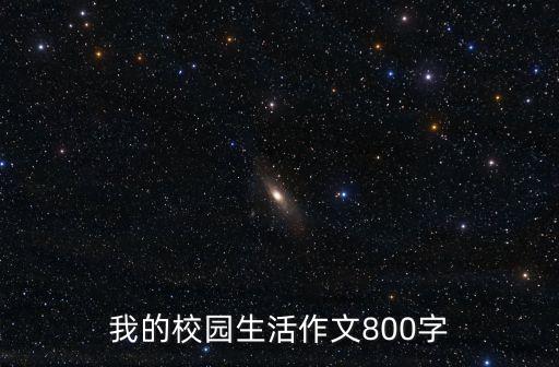 我的生活，作文我的 生活