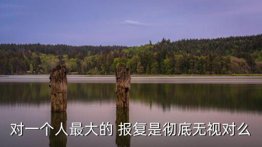 對一個人最大的 報復是徹底無視對么