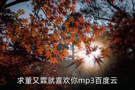求董又霖就喜歡你mp3百度云