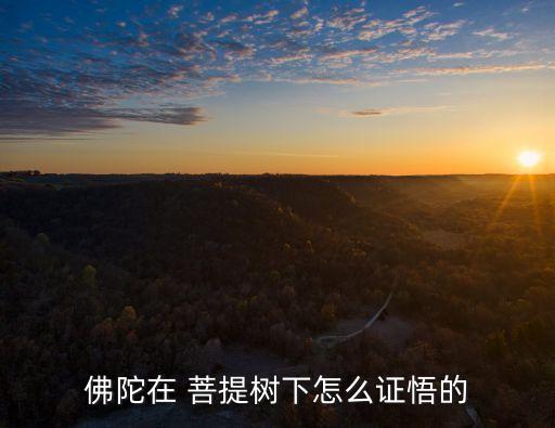佛陀在 菩提樹下怎么證悟的