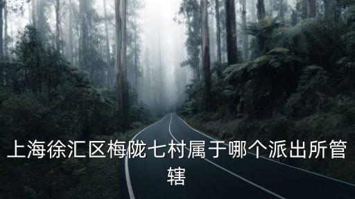 上海徐匯區梅隴七村屬于哪個派出所管轄