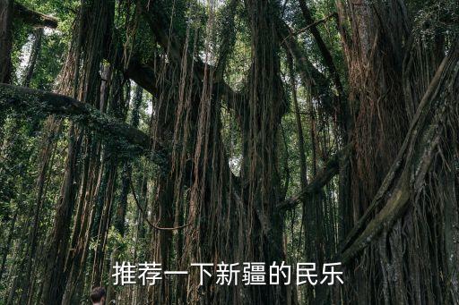 新疆歌曲大全，推薦一下新疆的民樂