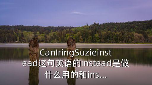 CanIringSuzieinstead這句英語的instead是做什么用的和ins...