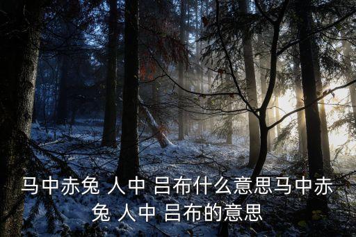 馬中赤兔 人中 呂布什么意思馬中赤兔 人中 呂布的意思