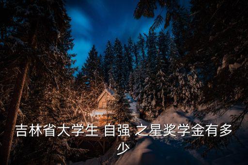 吉林省大學(xué)生 自強(qiáng) 之星獎(jiǎng)學(xué)金有多少