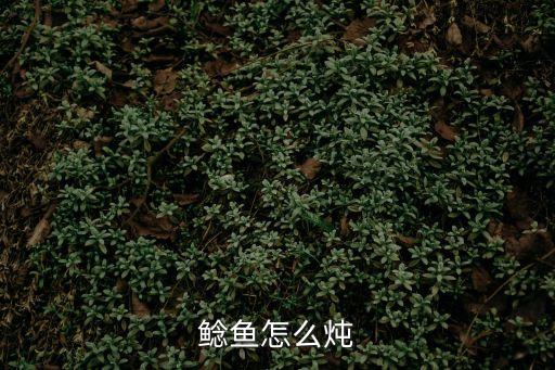鯰魚怎么燉