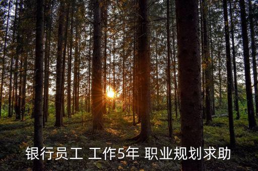 銀行柜員職業規劃，銀行職業生涯規劃怎么寫